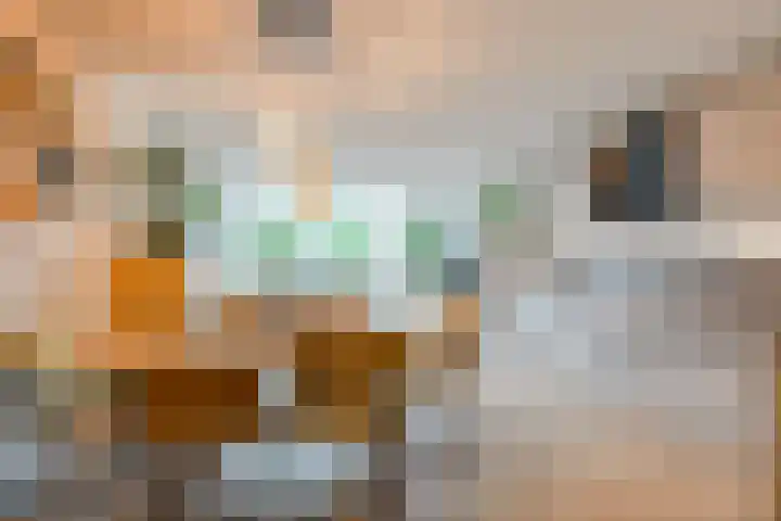 Beethovenrode 10 Zoetermeer thumbnail 10