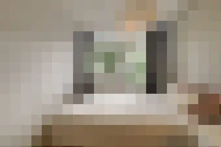 Beethovenrode 10 Zoetermeer thumbnail 29