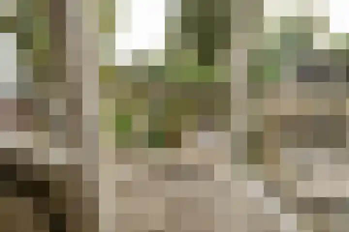 Beethovenrode 10 Zoetermeer thumbnail 31