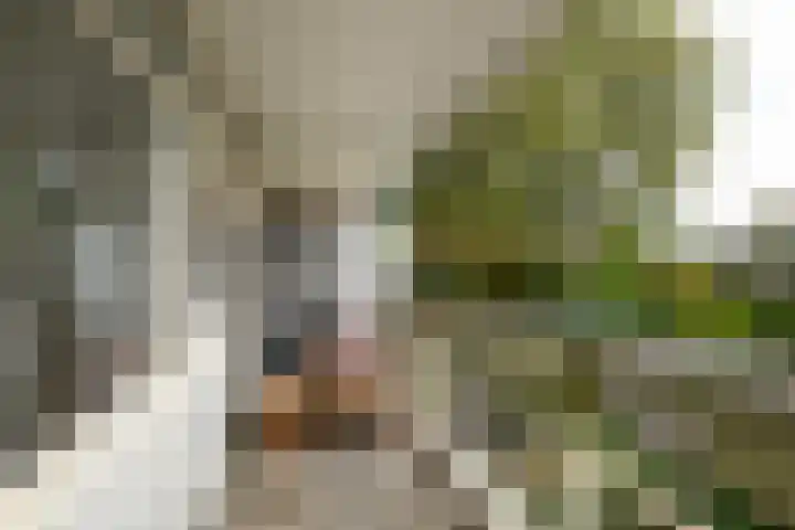 Beethovenrode 10 Zoetermeer thumbnail 32