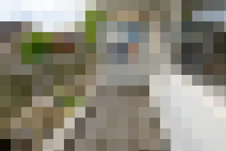 Beethovenrode 10 Zoetermeer thumbnail 33
