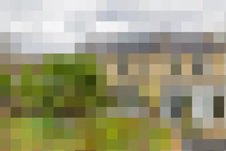 Beethovenrode 10 Zoetermeer thumbnail 35