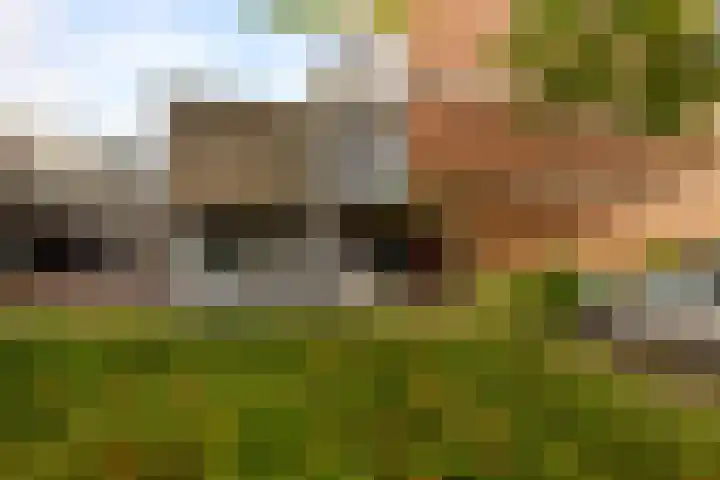 Beethovenrode 10 Zoetermeer thumbnail 4