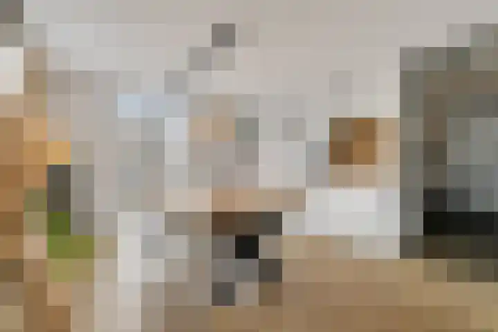Beethovenrode 6 Zoetermeer thumbnail 24