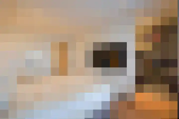 Beethovenrode 6 Zoetermeer thumbnail 26