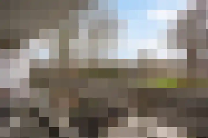 Beethovenrode 6 Zoetermeer thumbnail 28