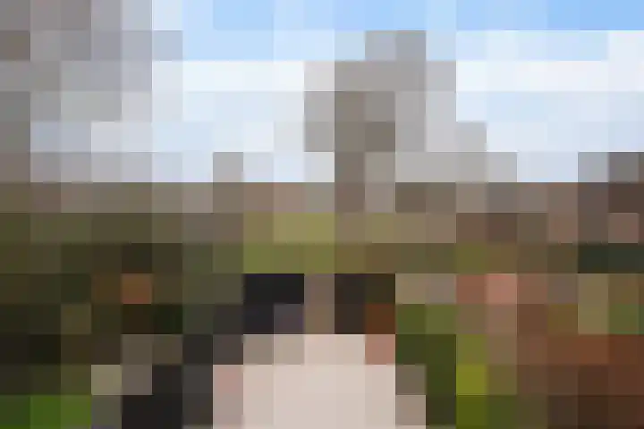 Beethovenrode 6 Zoetermeer thumbnail 29
