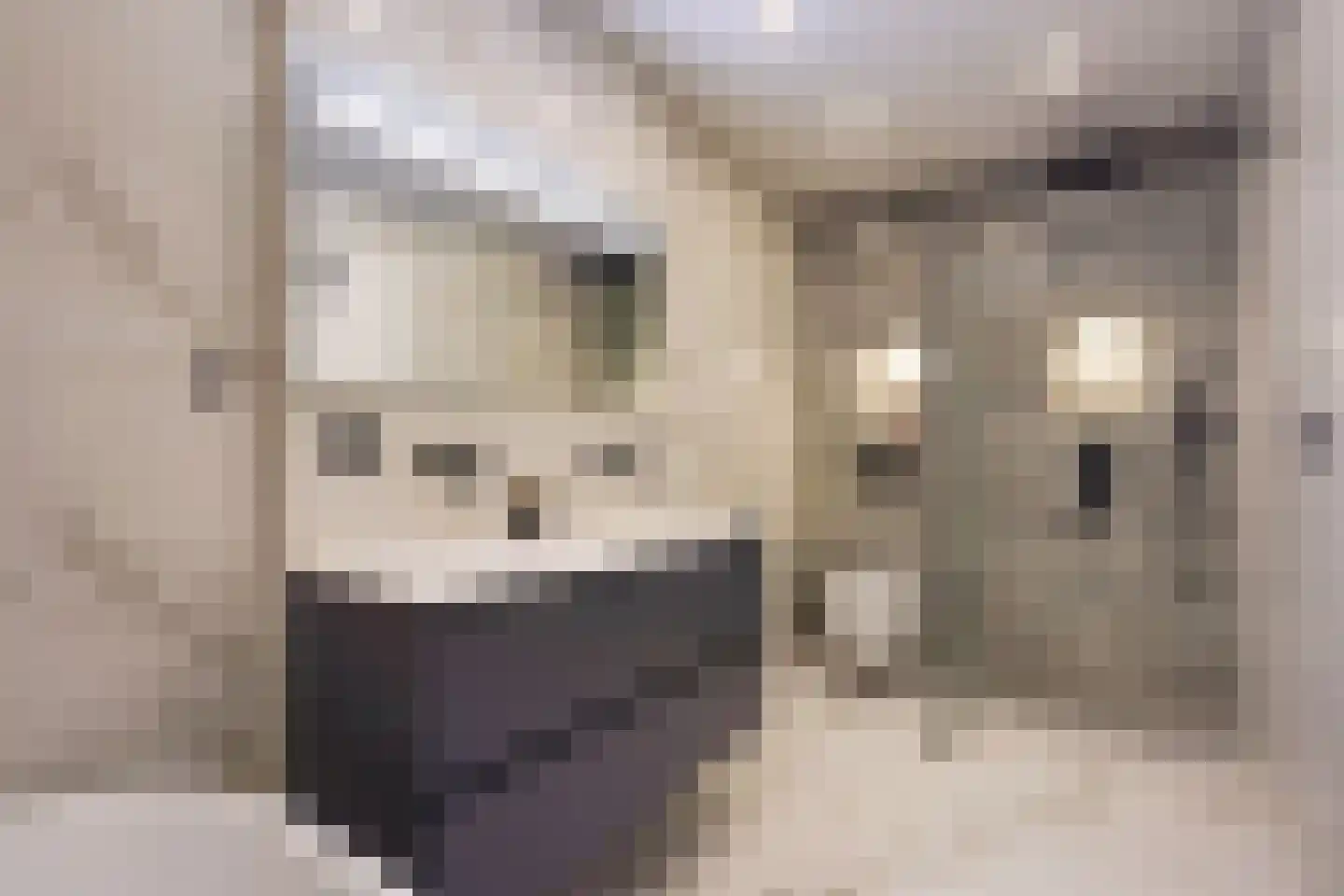 Beethovenrode 6 Zoetermeer thumbnail 31