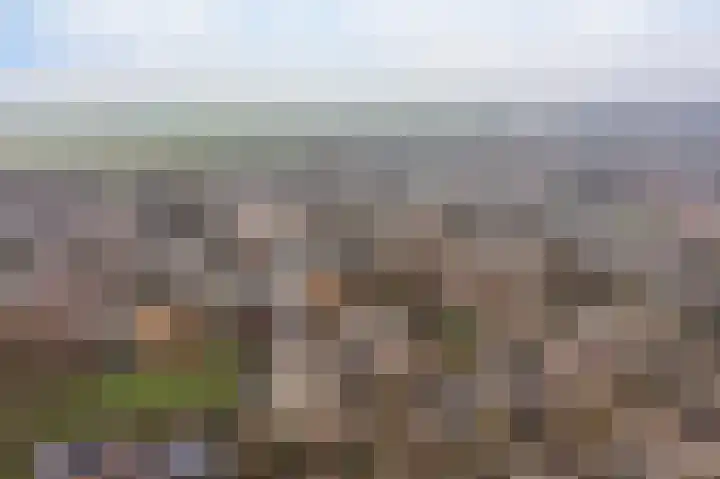 Beethovenrode 6 Zoetermeer thumbnail 35
