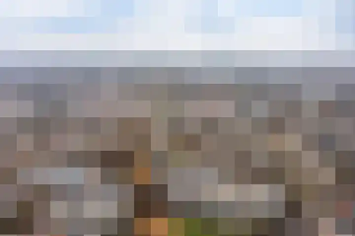 Beethovenrode 6 Zoetermeer thumbnail 36