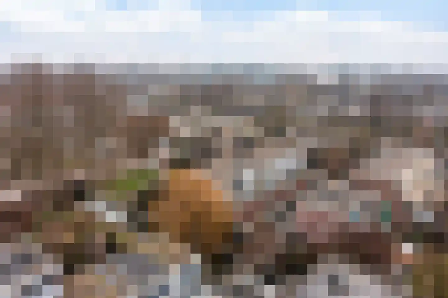 Beethovenrode 6 Zoetermeer thumbnail 37