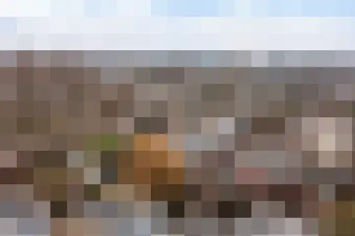 Beethovenrode 6 Zoetermeer thumbnail 37