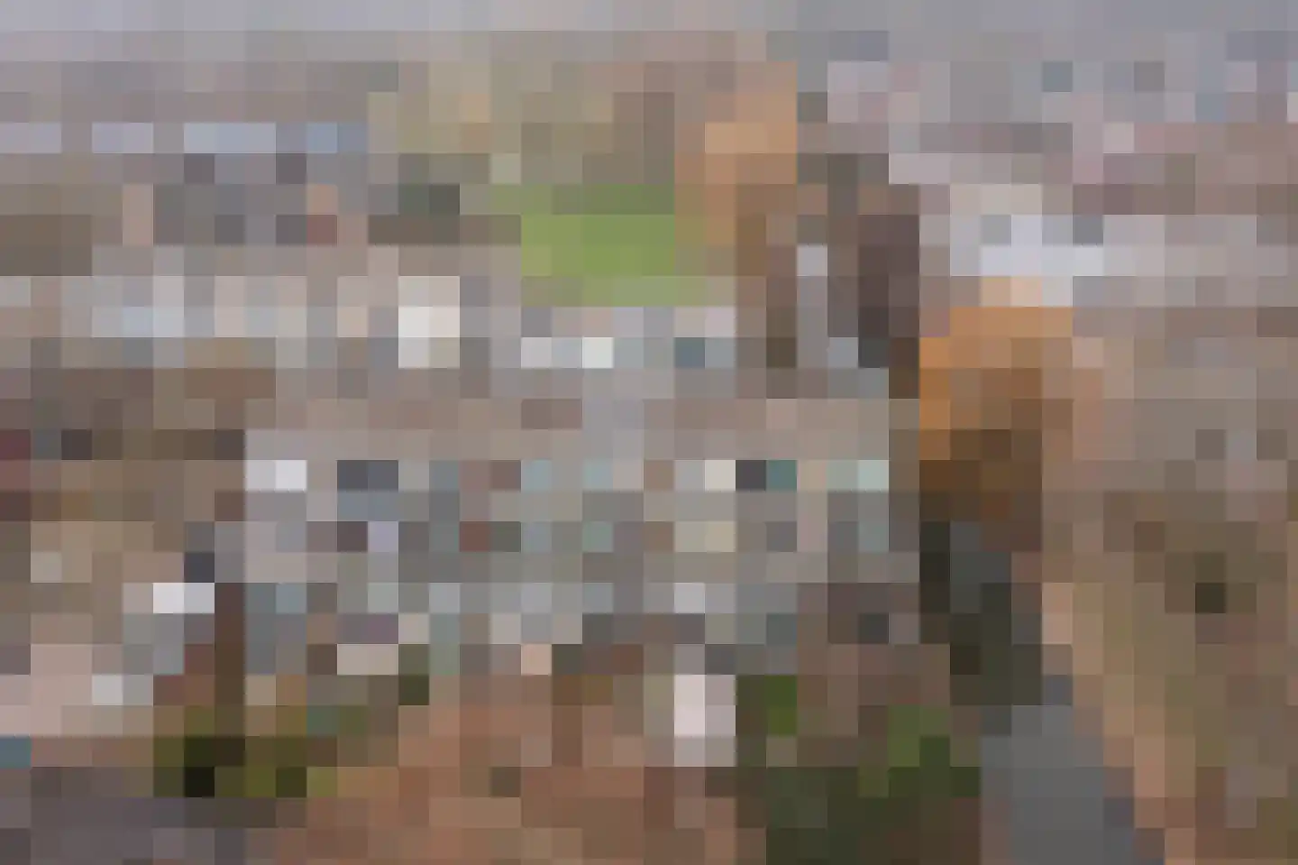 Beethovenrode 6 Zoetermeer thumbnail 38