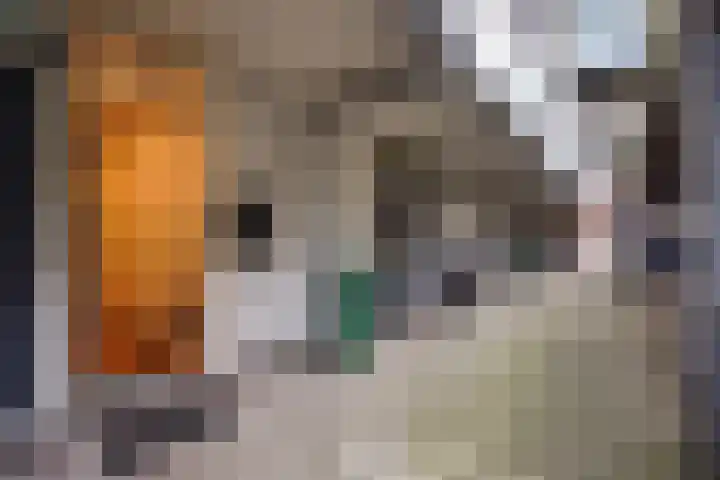 Beethovenrode 6 Zoetermeer thumbnail 6