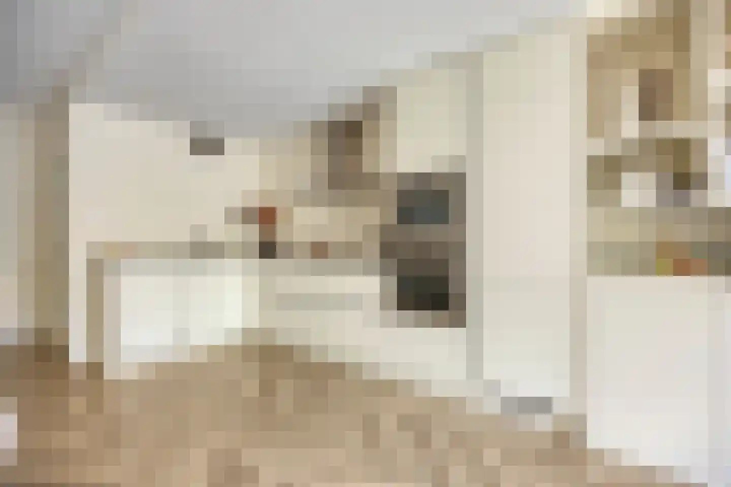 Beethovenrode 9 Zoetermeer thumbnail 13