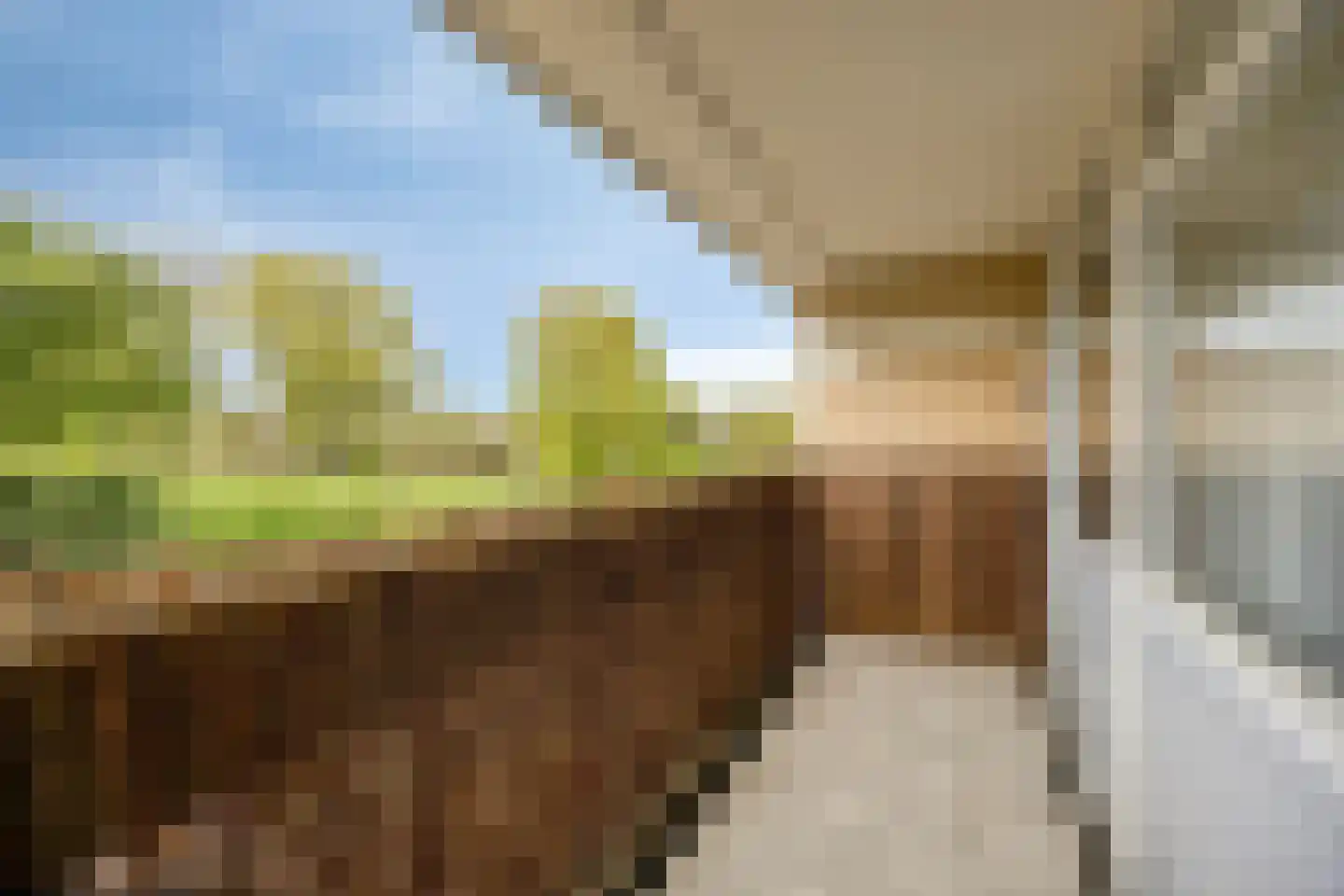 Beethovenrode 9 Zoetermeer thumbnail 27