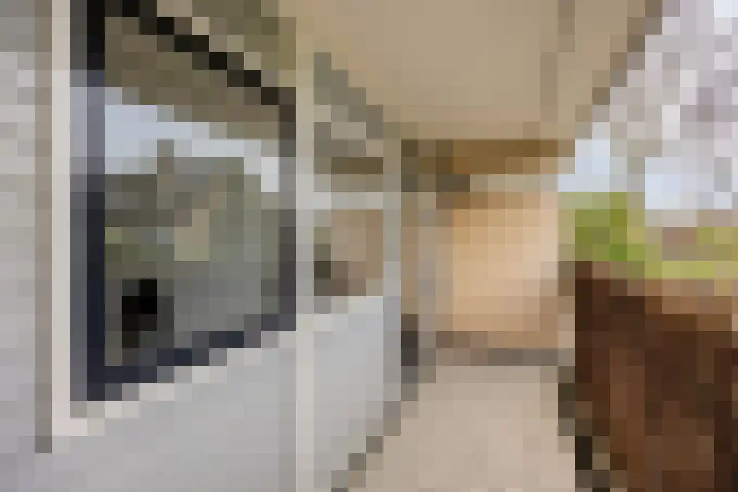 Beethovenrode 9 Zoetermeer thumbnail 28