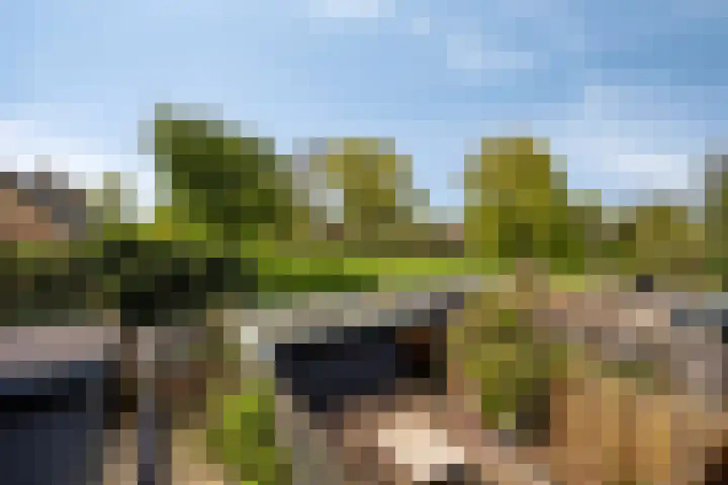 Beethovenrode 9 Zoetermeer thumbnail 30