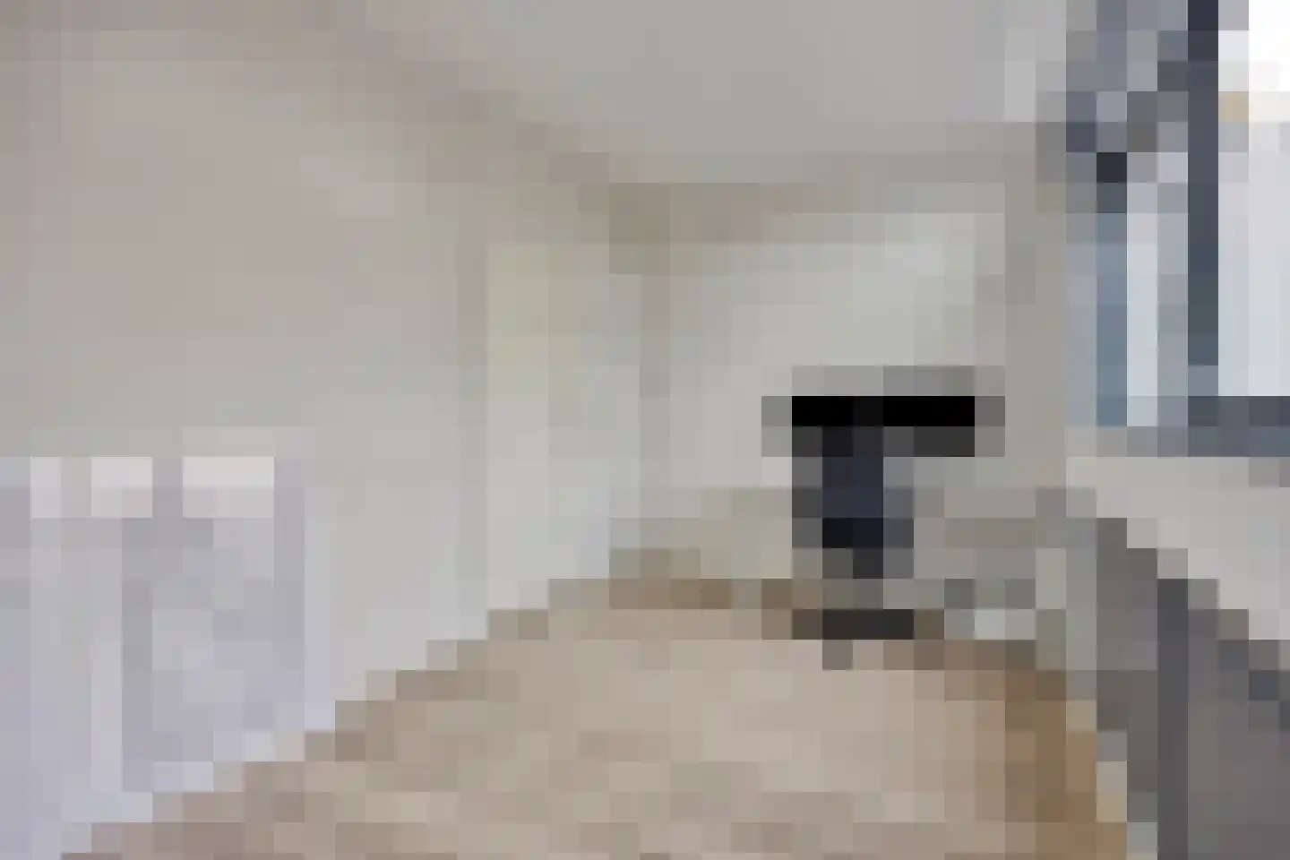 Beethovenrode 9 Zoetermeer thumbnail 36