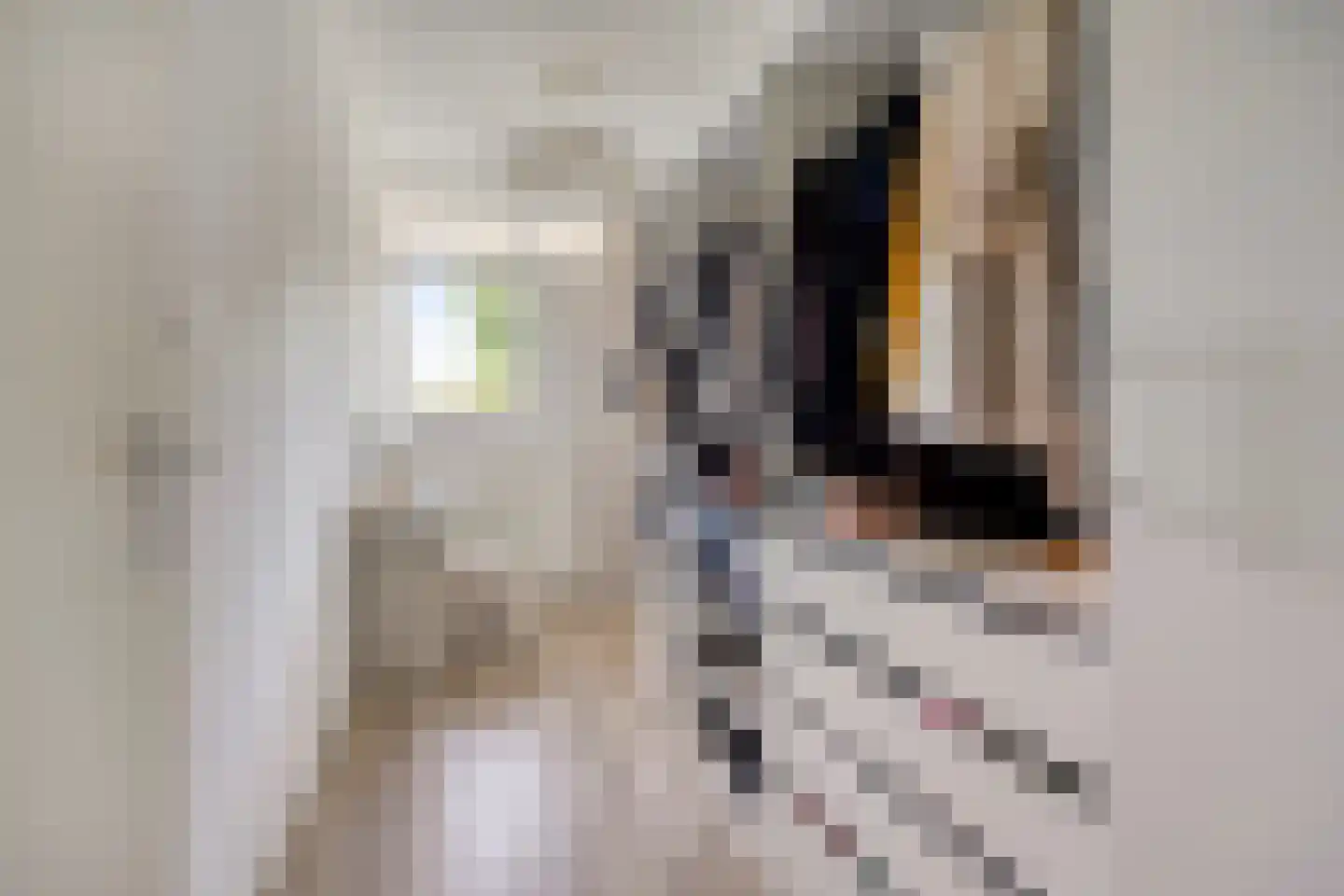 Beethovenrode 9 Zoetermeer thumbnail 37