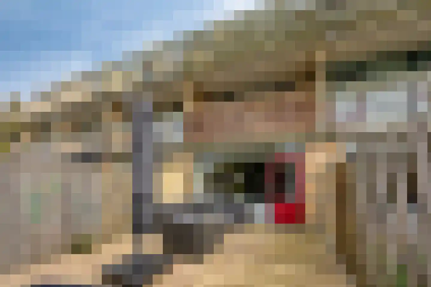 Beethovenrode 9 Zoetermeer thumbnail 42