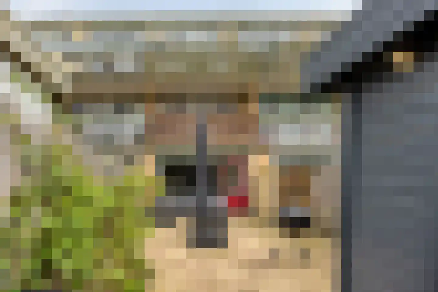 Beethovenrode 9 Zoetermeer thumbnail 43