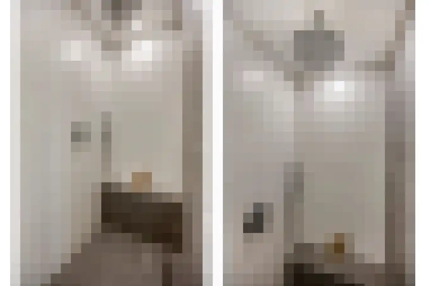 Beethovenrode 9 Zoetermeer thumbnail 49