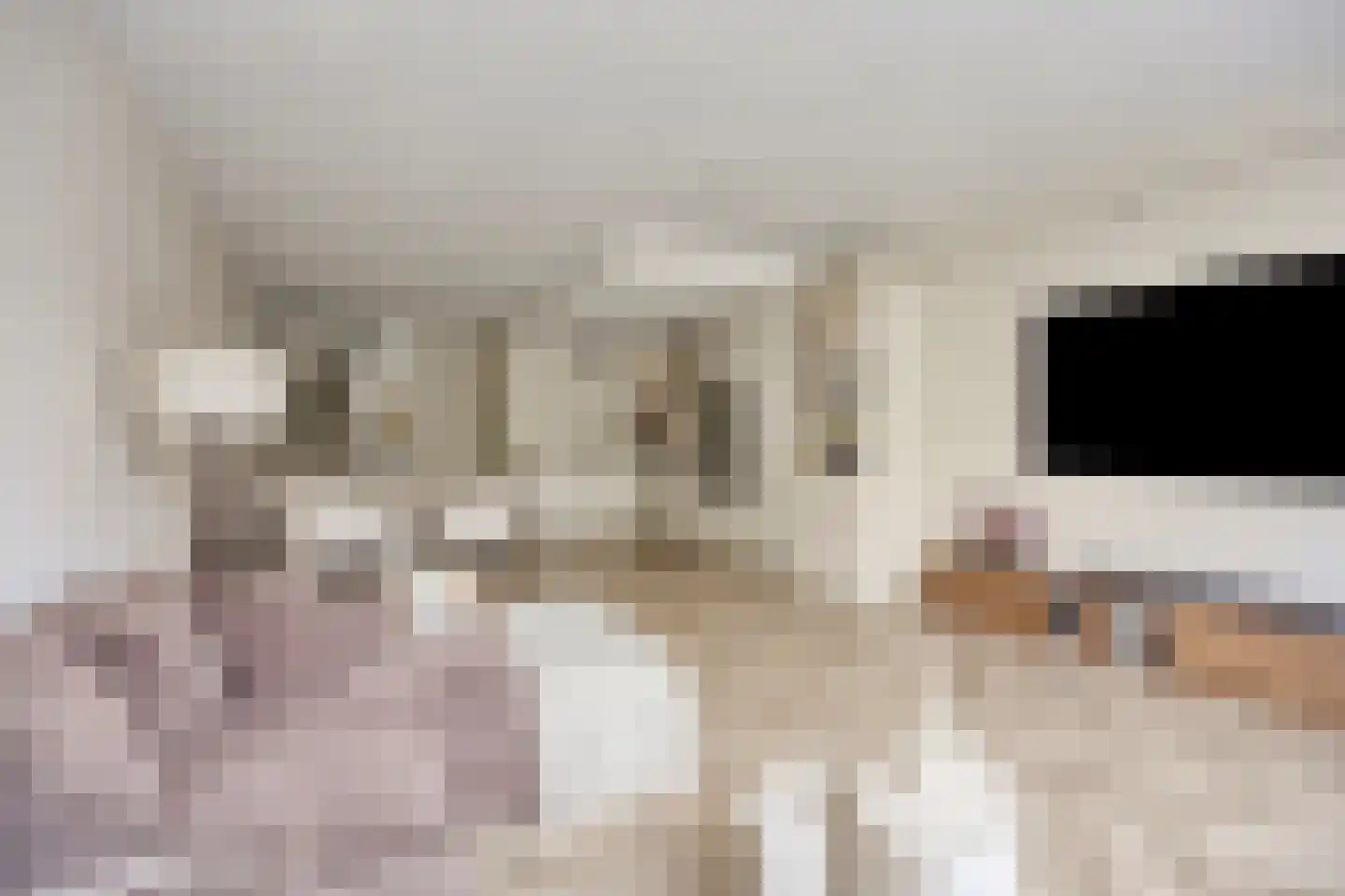 Beethovenrode 9 Zoetermeer thumbnail 9