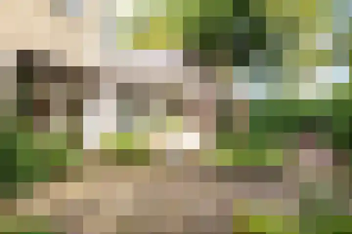 Beethovensingel 143 Alkmaar thumbnail 4