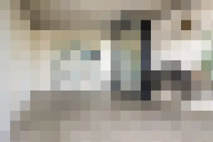 Beethovensingel 143 Alkmaar thumbnail 42