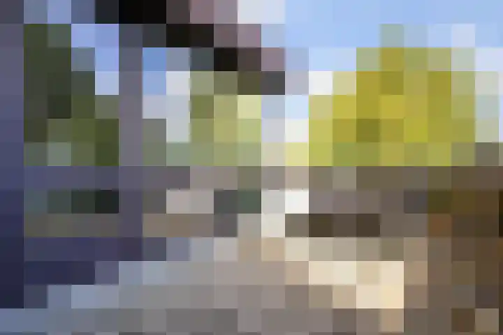 Beethovensingel 143 Alkmaar thumbnail 45