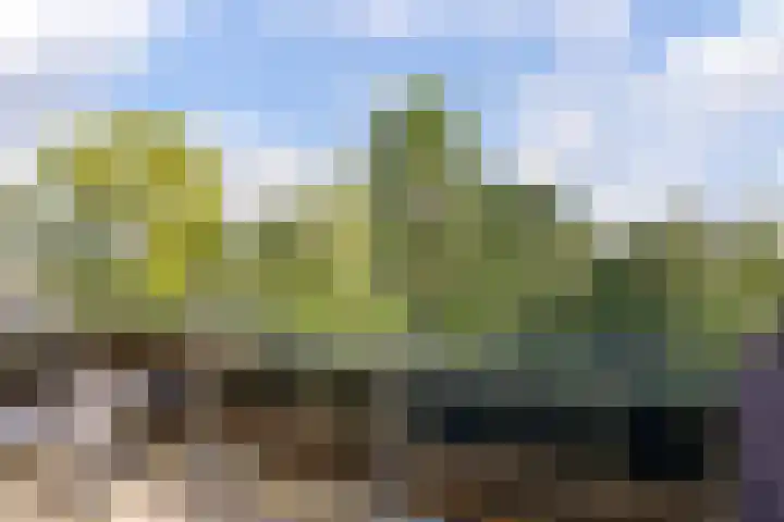 Beethovensingel 143 Alkmaar thumbnail 46