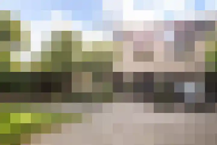 Beethovensingel 143 Alkmaar thumbnail 6