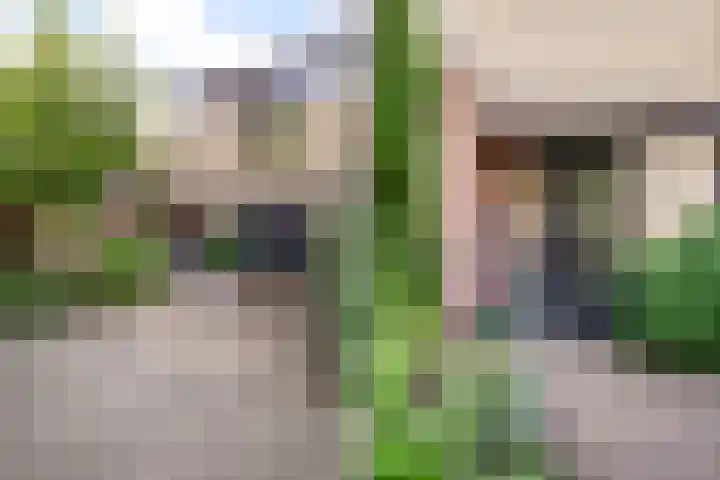 Beethovensingel 143 Alkmaar thumbnail 8