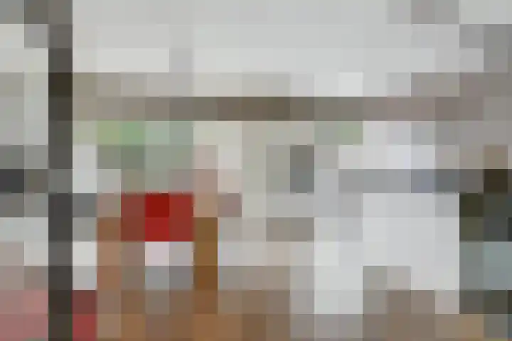 Beethovensingel 4 Alkmaar thumbnail 13