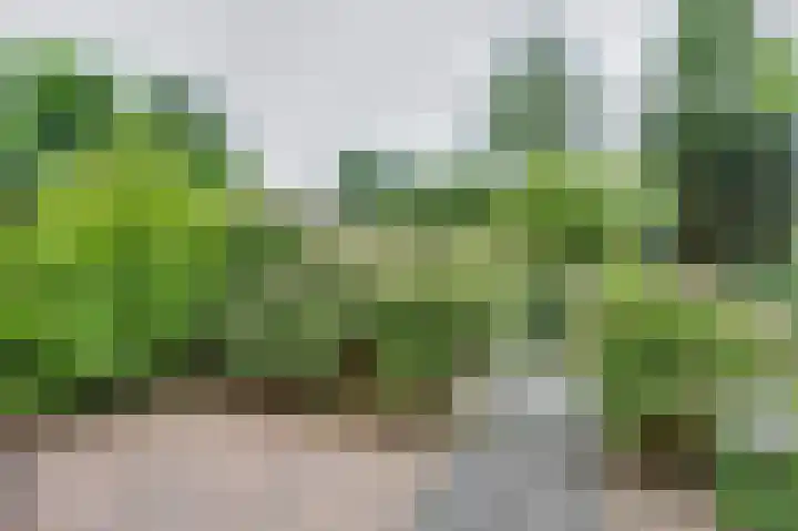 Beethovensingel 4 Alkmaar thumbnail 49