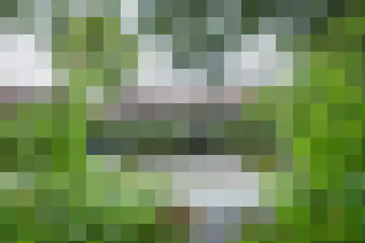 Beethovensingel 4 Alkmaar thumbnail 51