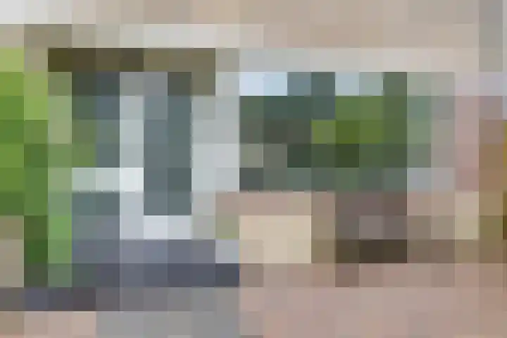 Beethovensingel 4 Alkmaar thumbnail 6