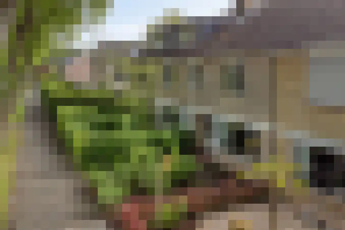 Beethovensingel 48 Alkmaar thumbnail 30