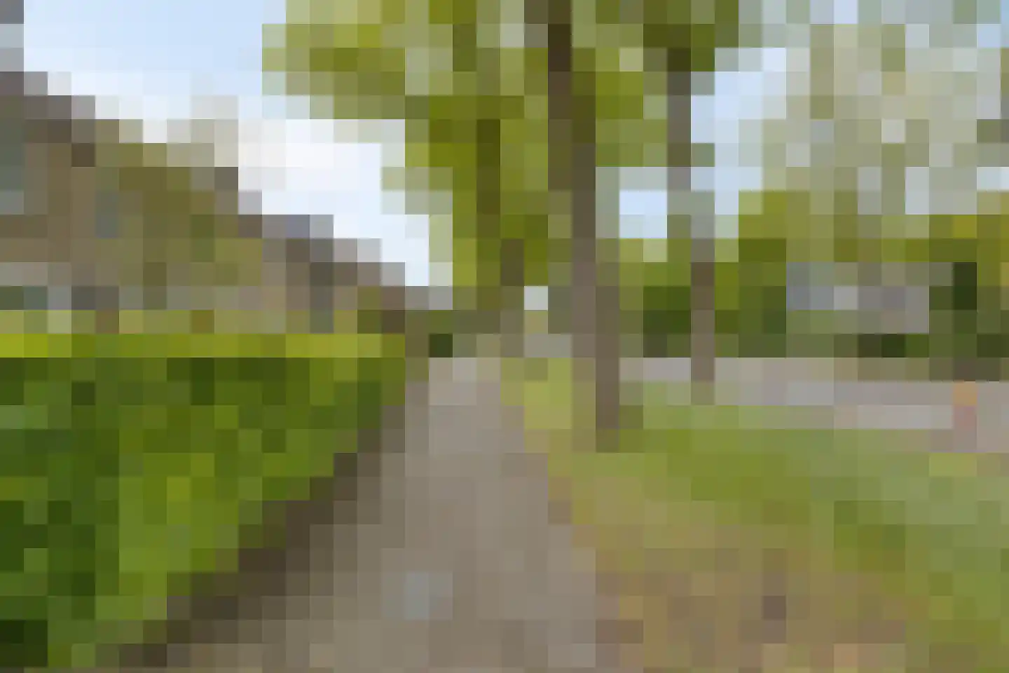 Beethovensingel 48 Alkmaar thumbnail 31