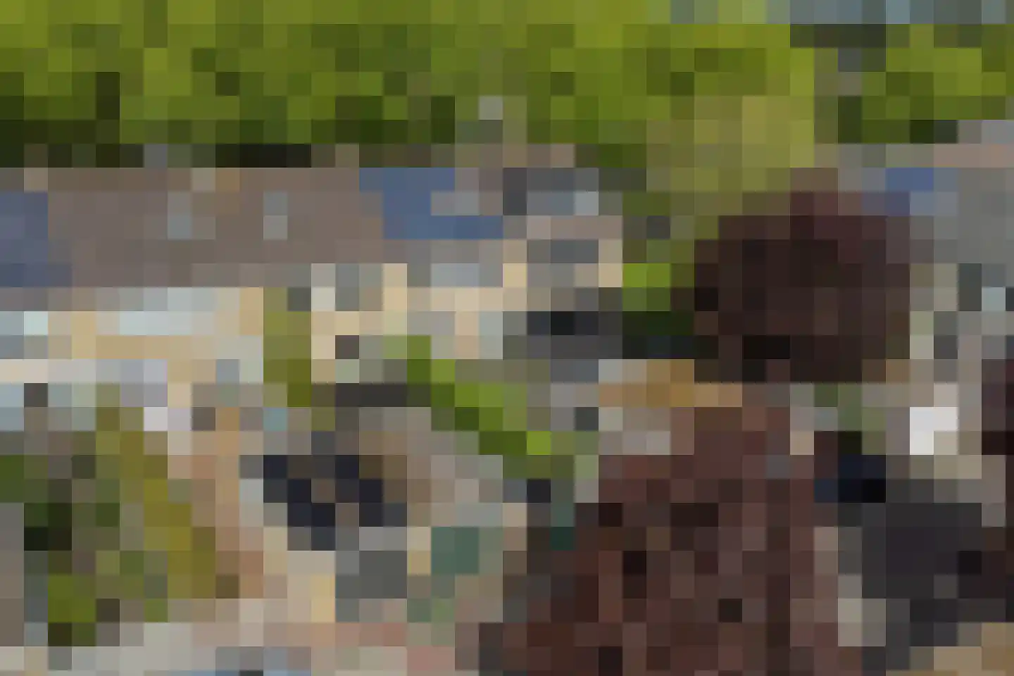 Beethovensingel 48 Alkmaar thumbnail 7