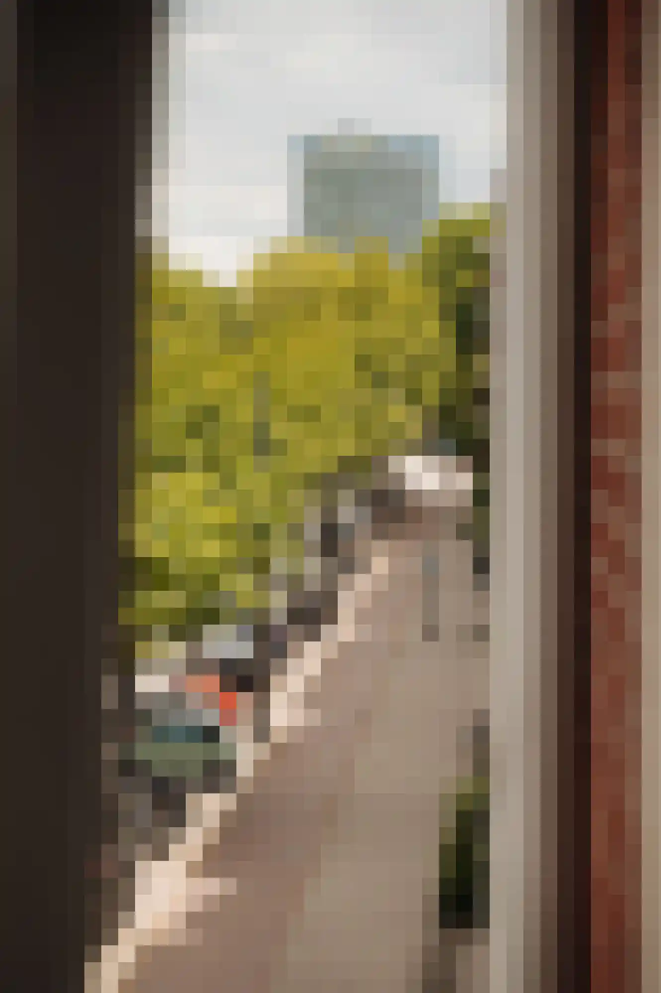 Beethovenstraat 108 2 Amsterdam thumbnail 10