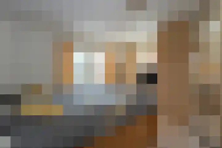 Beethovenstraat 12 Sittard thumbnail 29