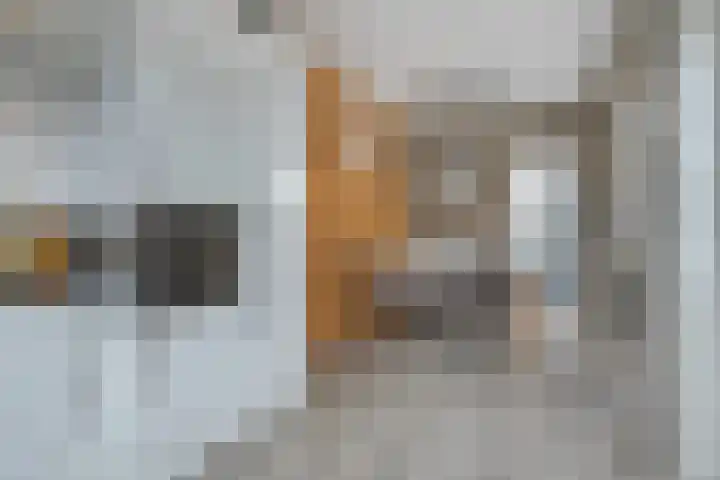 Beethovenstraat 120 Halsteren thumbnail 14