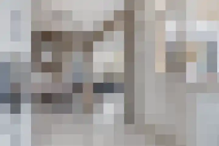 Beethovenstraat 120 Halsteren thumbnail 5
