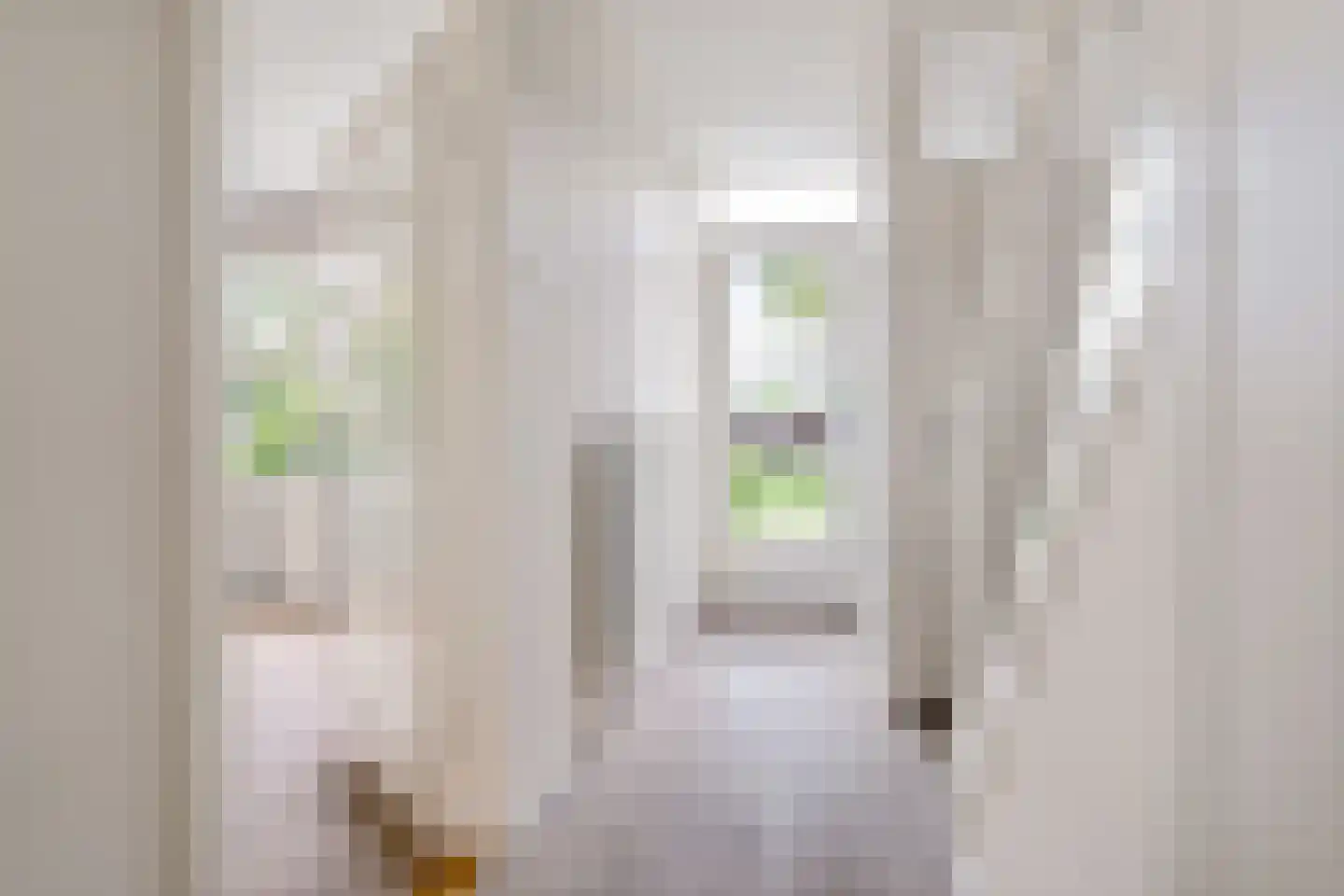 Beethovenstraat 125 Haaksbergen thumbnail 7