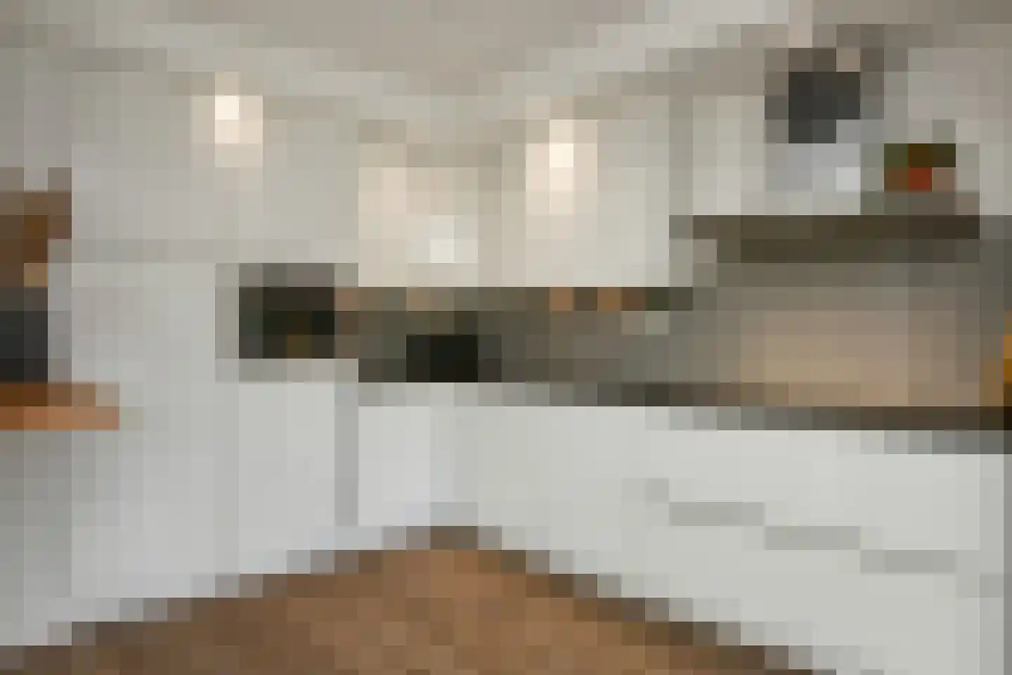 Beethovenstraat 13 Elst thumbnail 18