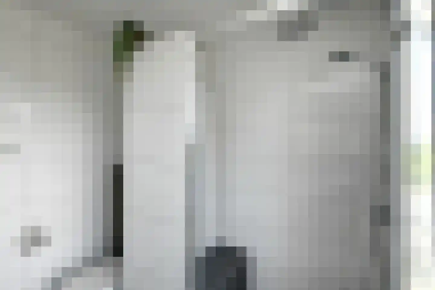Beethovenstraat 13 Elst thumbnail 32