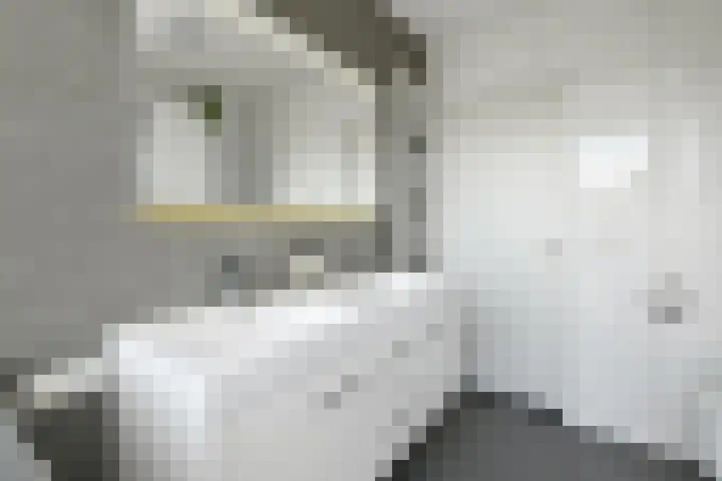 Beethovenstraat 13 Elst thumbnail 34