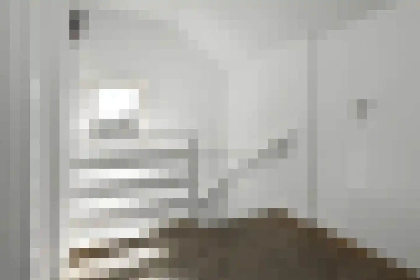 Beethovenstraat 13 Elst thumbnail 36